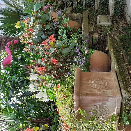 Belvilla By Oyo Casa Susanna Vakantiehuis Verbania